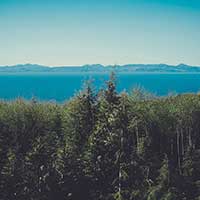 在线DDOS压力测试网页端