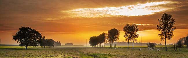 自动发卡秒发的cc攻击免费网页版